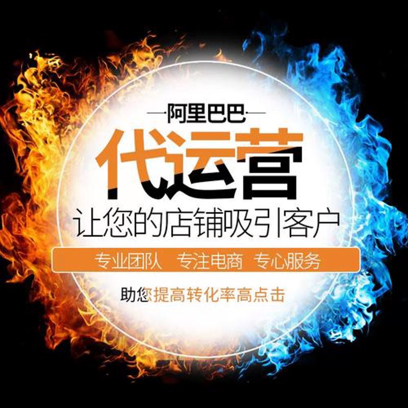 湖南电子商务公司的崛起：数字化转型与创新探索